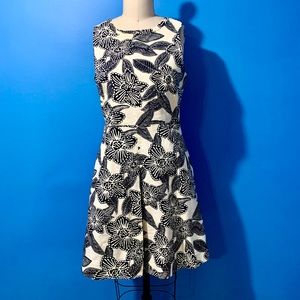 NWT J. Crew dress. Bold print.